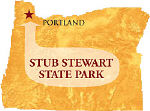 stub