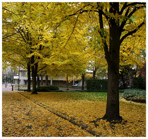 October in Portland