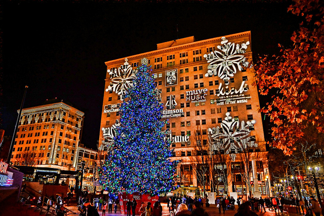 Christmas Tree Lighting