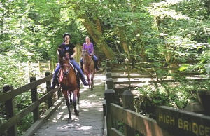 tryon