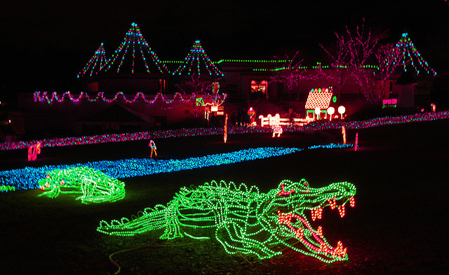 Zoo Lights