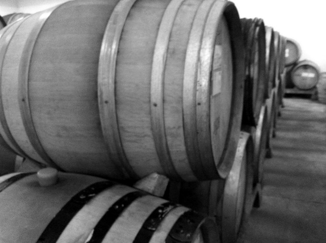 cellar shot at Bergstom
