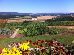 Visiting Oregon Wine Country: Photo Essay