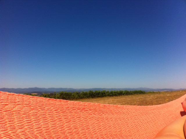 because all wineries should be required to provide their guests with hammocks.