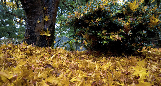 japanese-gardens-portland